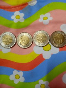 Coin Collection