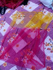 Elegant Lehenga Choli Set