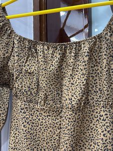 Leopard Print Mini Dress