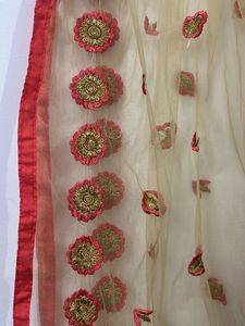 Elegant Dupatta