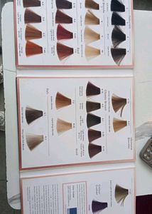 Hi Everyone Am Looking For Hair Colour Shade Card