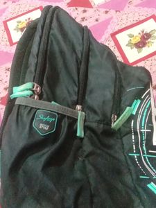 Skybags (School Or Travelling Bag )