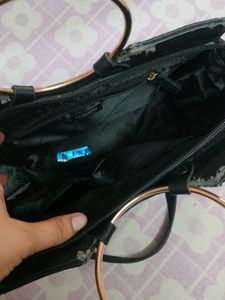 Lady Handbag