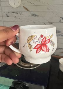 5 Cup Set