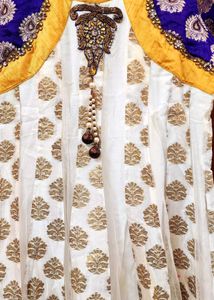 Elegant Indian Anarkali Dress