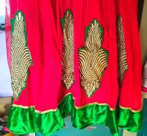 Green &amp; Pink Embroidered Dress