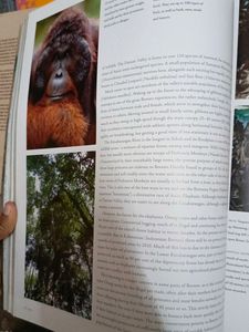 Global Safari