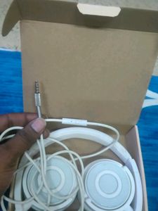 Boat Bassheads 900 Headphone With Mic