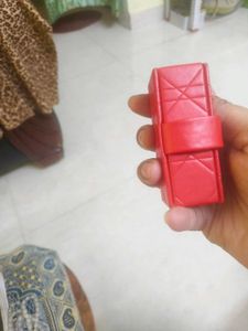 Dior Lip Case