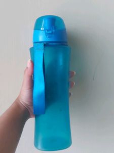 Water Bottle(650ml)
