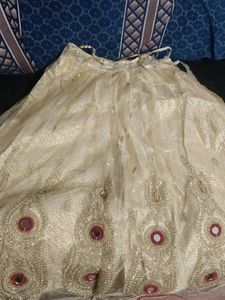 Elegant Embroidered Ethnic Skirt