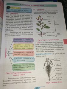 Biology 11th Textbook