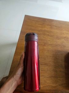 Spiderman Steel Bottle