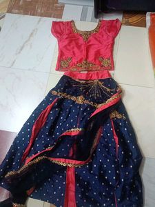 Embroidered Sari Blouse