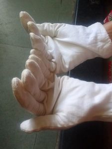 White Cotton Hand Gloves
