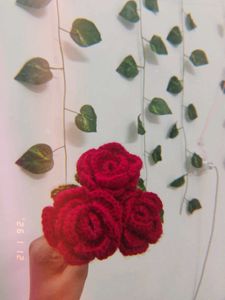 Crochet Rose Bouquet❤️