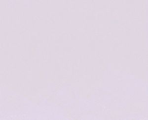 Zara Trafaluc Denim Collection