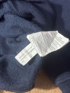 Polo Bear Sweater