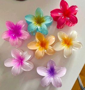 Flower Hair Cluter 3 Pics In 99