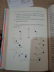 Ikigai: The Japanese Secret (100% Original)