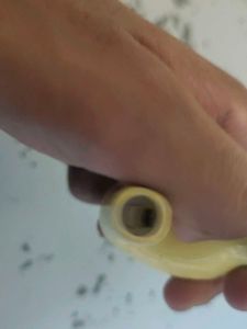 It is a Bird who speak when we pass air from i