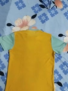 T shirt (used )