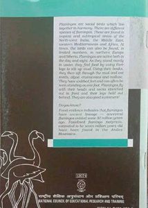 Vistas&amp;Flamingo (12th English Cbse)