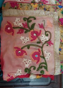 Beautiful Saree