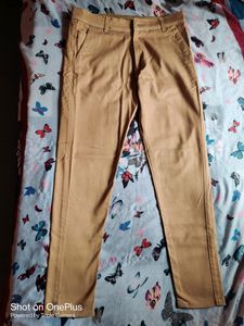 A Light Brown Beige Colour Trouser
