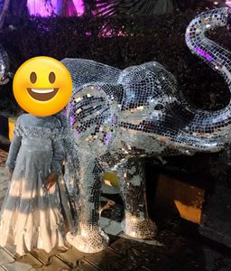 Partywear Dress