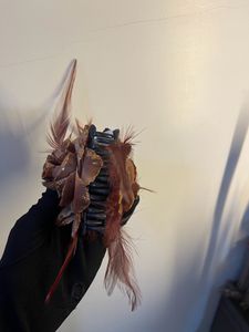 Hair Clip