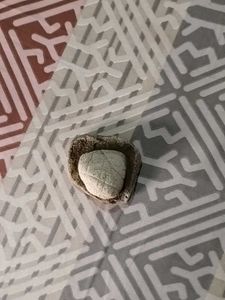 Unique Stone Sculpture