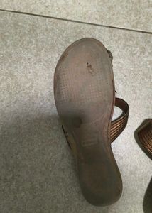 Brown Slipper