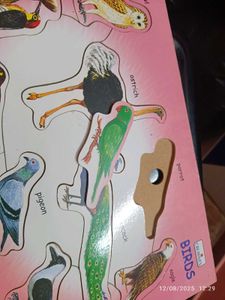 New Wooden  Birds Puzzle
