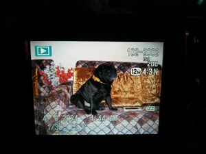 Fujifilm Vintage Camera