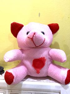 Small Cute Taddy