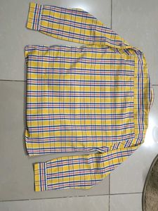 Yellow Vivaldi Plaid Long Sleeve Shirt