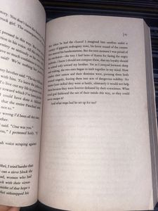 The Palace Of Illusion Novel