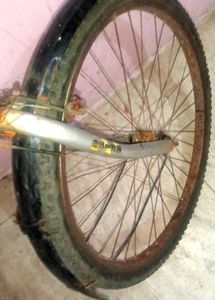 Cycle