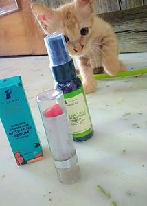 Pilgrim Anti-Acne Serum & Tea Tree Toner