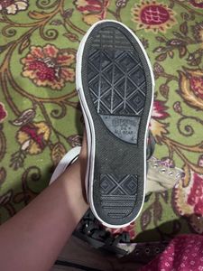 Converse All Star High Top Sneaker