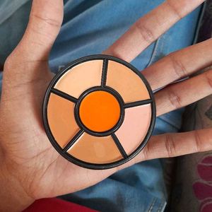 INSIGHT Cosmetics Pro Concealer Palette Waterproof