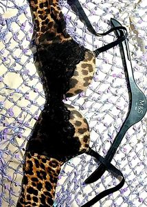 Animalier Aimerfeel