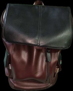 Stylish Two-Tone Backpack