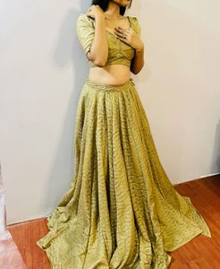 Sabyasachi Blouse And Choli For Today Only