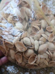 Pista shells for creative craft works