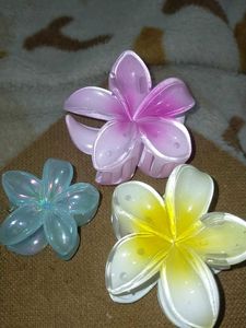 Tropical Flower Hair Clips/Claws - Set of 3
