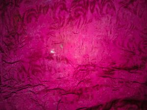 Elegant Embellished Saree