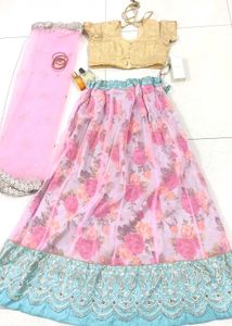 pastel pink And Blue Cute Lahenga✨