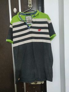 Striped Green & Grey Polo Shirt